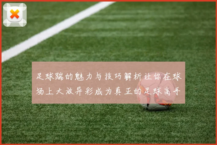 足球踹的魅力与技巧解析让你在球场上大放异彩成为真正的足球高手
