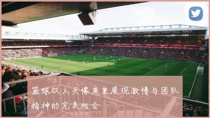 篮球双人头像库里展现激情与团队精神的完美结合