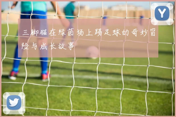 三脚猫在绿茵场上踢足球的奇妙冒险与成长故事