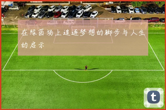 在绿茵场上追逐梦想的脚步与人生的启示