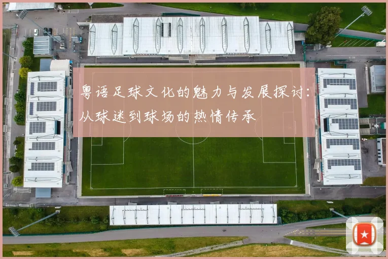 粤语足球文化的魅力与发展探讨：从球迷到球场的热情传承